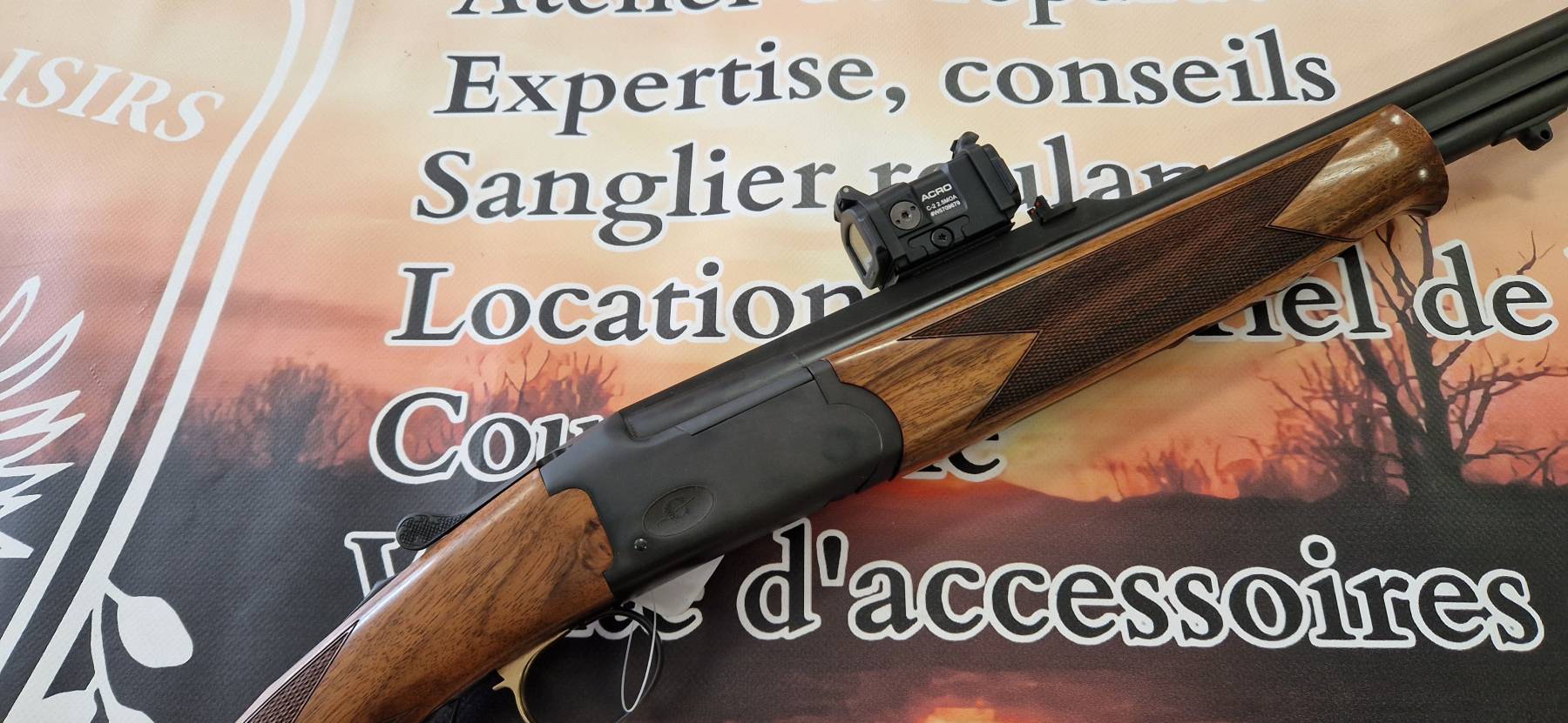 Carabine express CHAPUIS S12 Aimpoint
